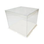 Cajas Transparentes De Acetato H10.