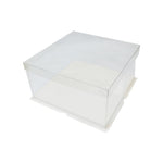 Cajas Transparentes De Acetato H12.